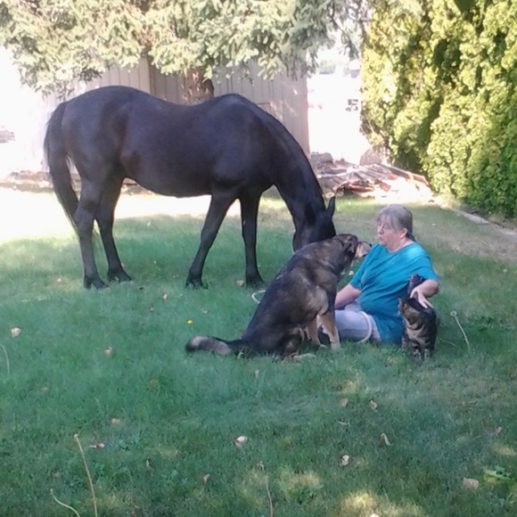 Meet your Posher, Liz - Picture 1 of 2